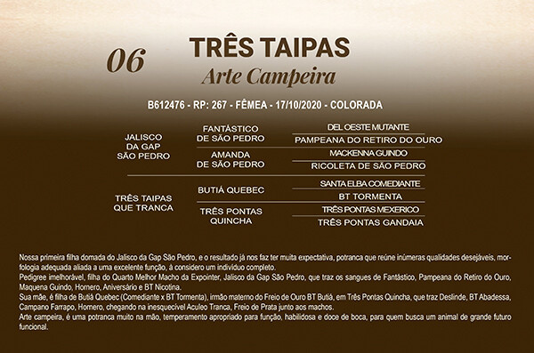 Geração TRÊS TAIPAS ARTE CAMPEIRA
