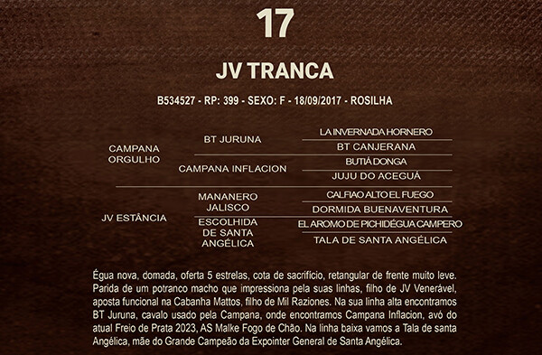 Geração JV TRANCA