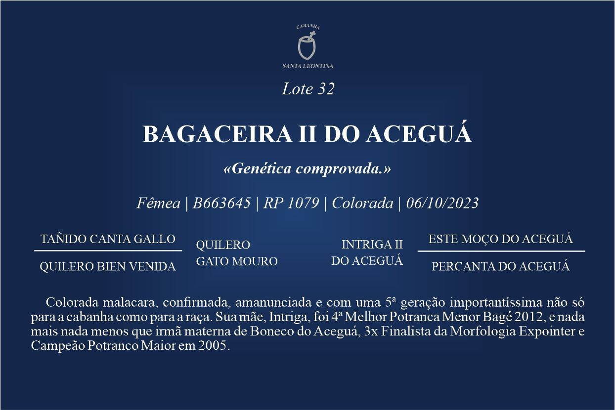 Geração BAGACEIRA II DO ACEGUÁ