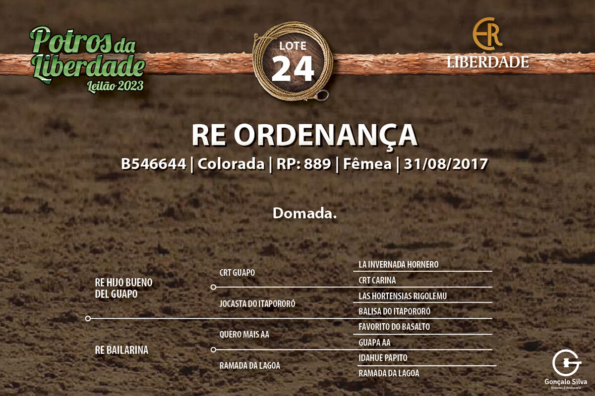 Geração RE ORDENANÇA