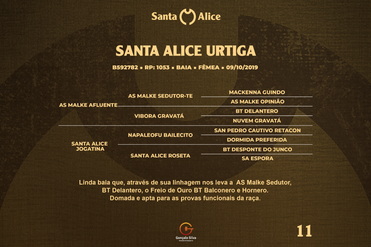 Geração SANTA ALICE URTIGA 