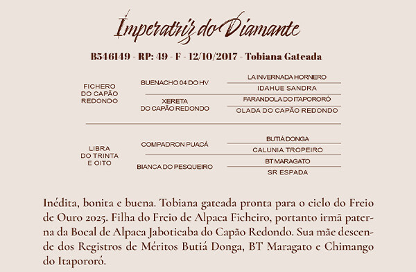 Geração IMPERATRIZ DO DIAMANTE 