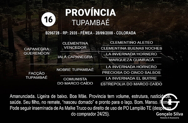 Geração PROVÍNCIA TUPAMBAÉ