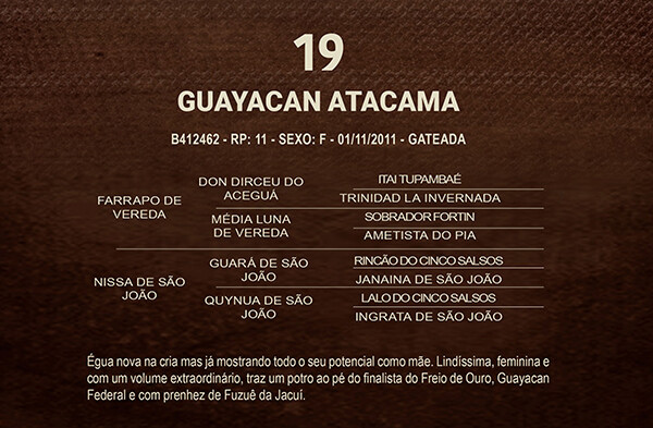 Geração GUAYACAN ATACAMA