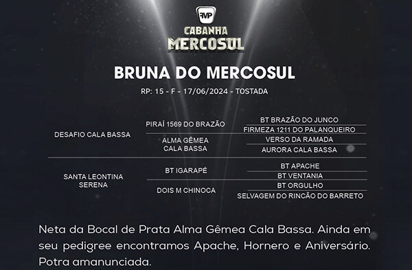 Geração BRUNA DO MERCOSUL
