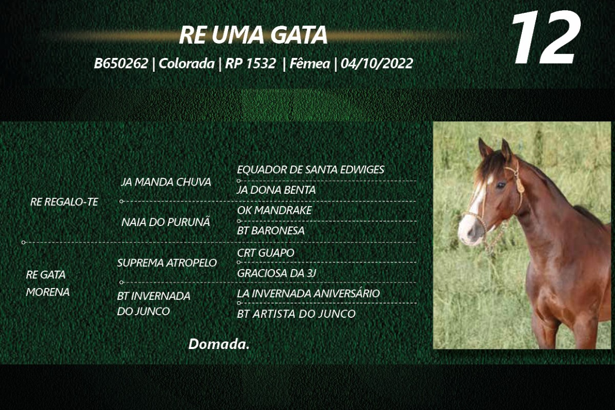 Geração RE UMA GATA