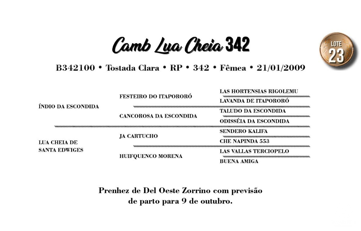 Geração CAMB LUA CHEIA 342