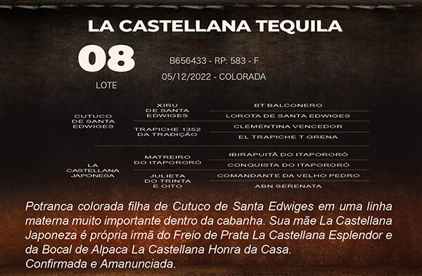Geração LA CASTELLANA TEQUILA