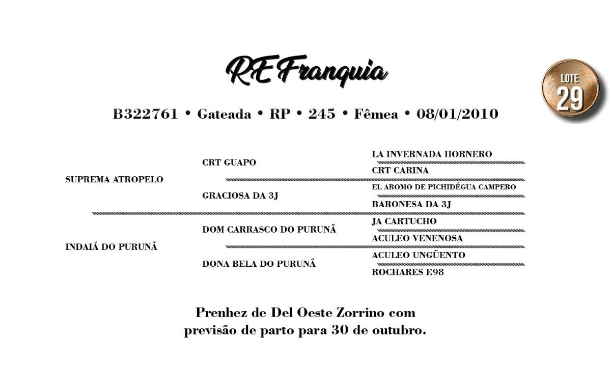 Geração RE FRANQUIA