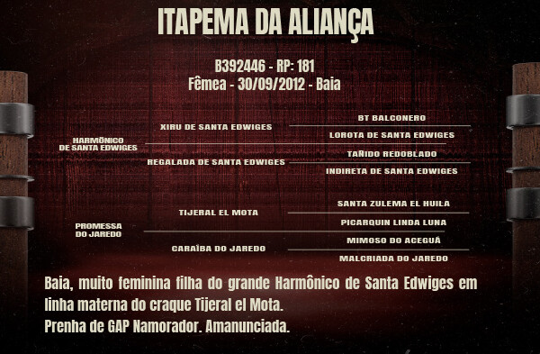 Geração ITAPEMA DA ALIANÇA