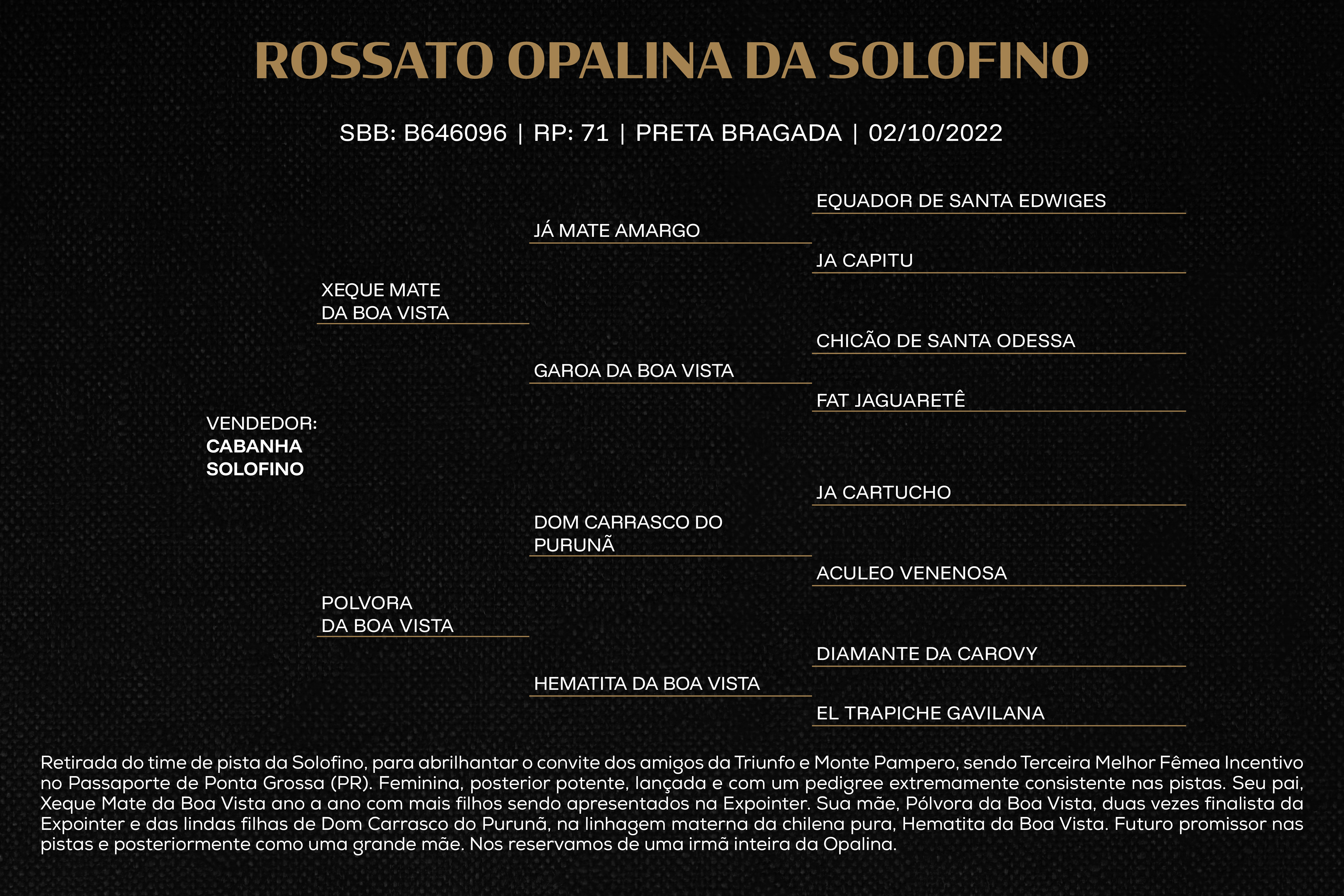 Geração ROSSATO OPALINA DA SOLOFINO