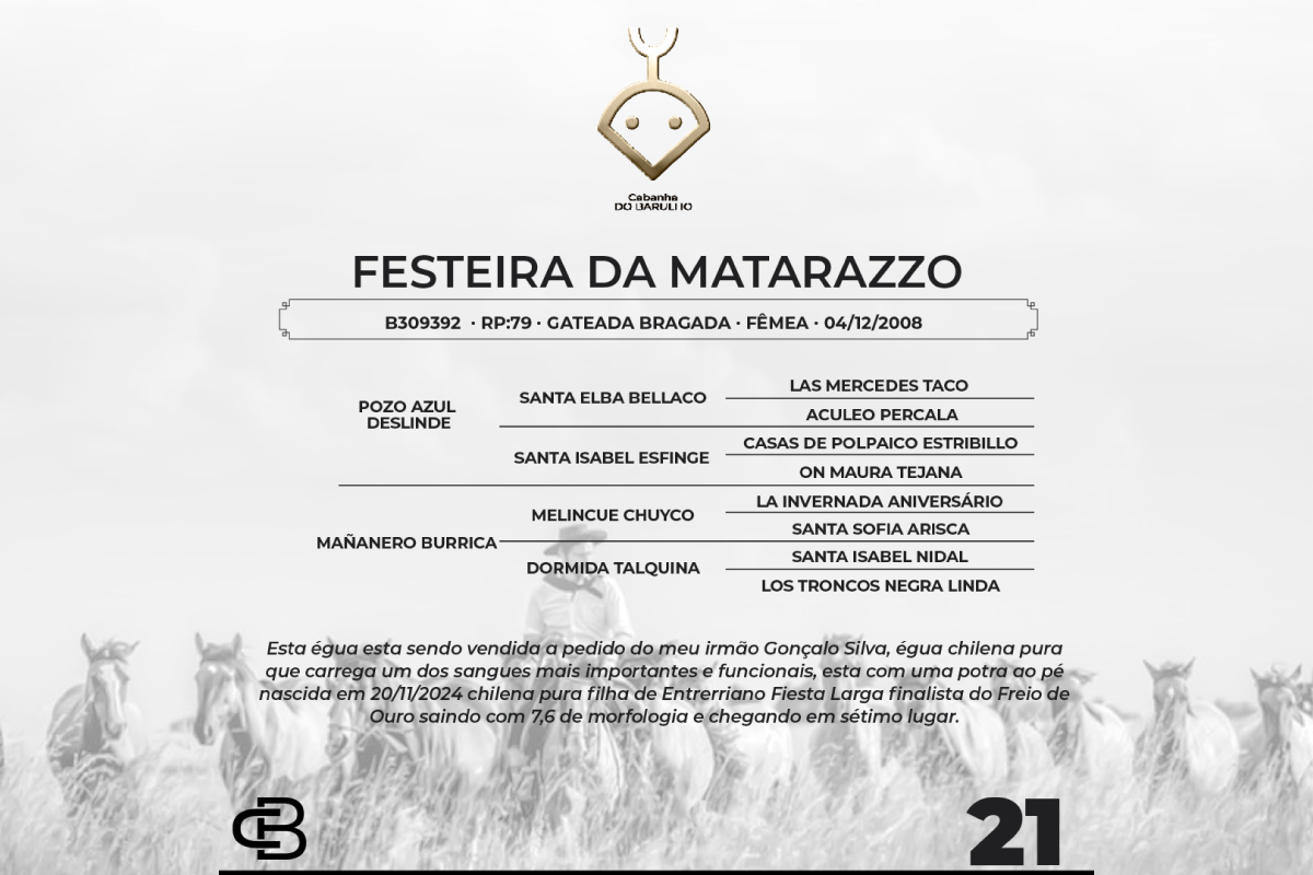 Geração FESTEIRA DA MATARAZZO