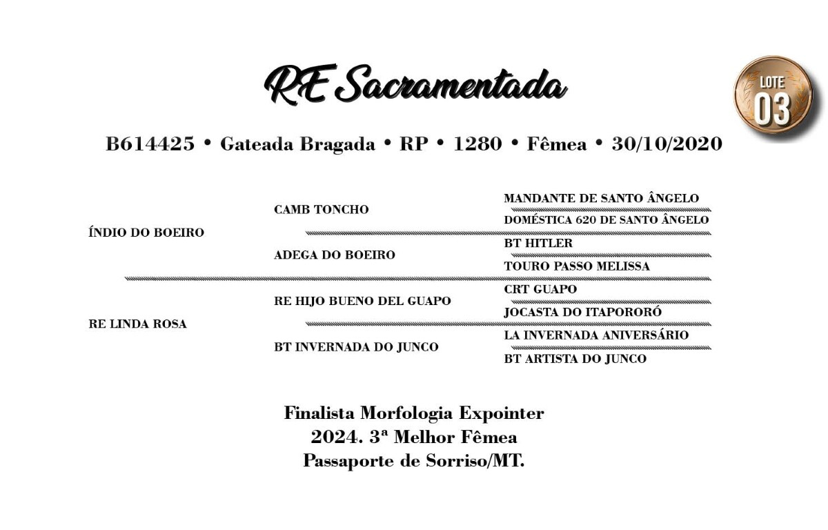 Geração RE SACRAMENTADA