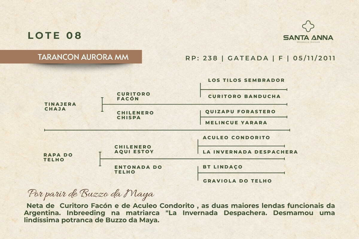 Geração TARANCON AURORA MM