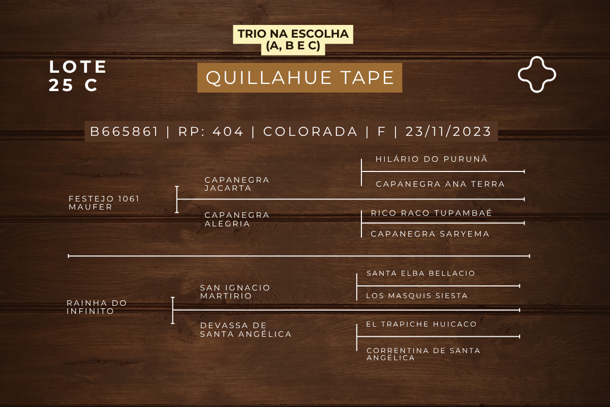 Geração NA ESCOLHA EMBRIÃO PIEDRAITA TAPE OU PLATA Y RIENDA TAPE OU QUILLAHUE TAPE