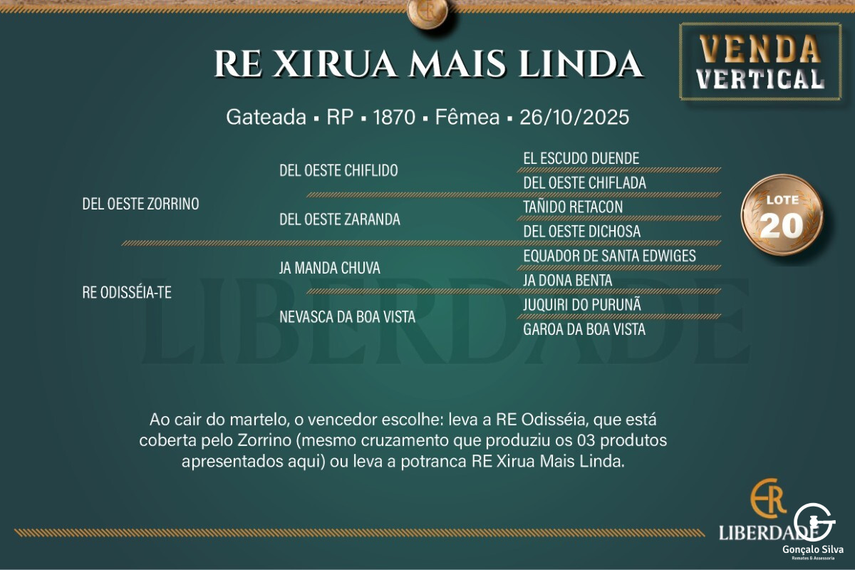 Geração  RE XIRUA MAIS LINDA (Venda Vertical)