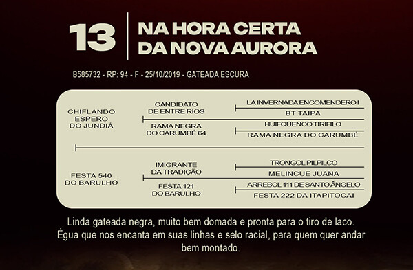 Geração NA HORA CERTA DA NOVA MORADA