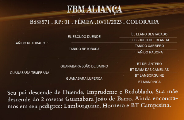 Geração FBM ALIANÇA