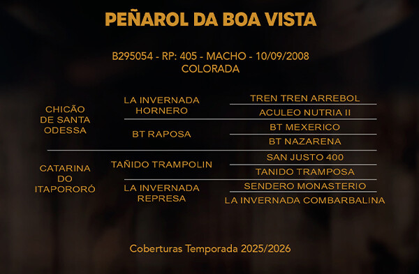 Geração PEÑAROL DA BOA VISTA OU PAMPEANO DO RECANTO CRIOULO