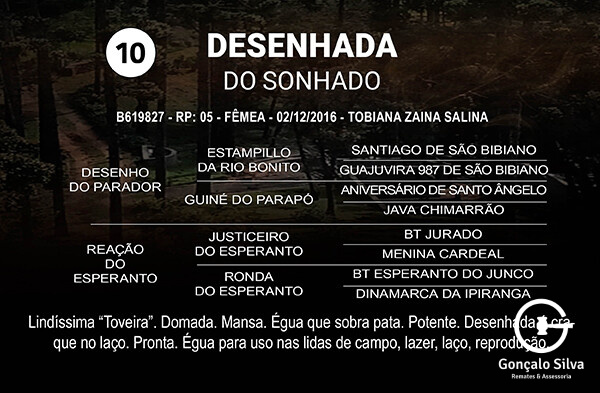 Geração DESENHADA DO SONHADO