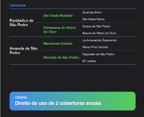 Geração JAISCO DA GAP SÃO PEDRO