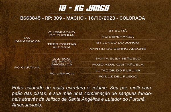 Geração KG JANGO
