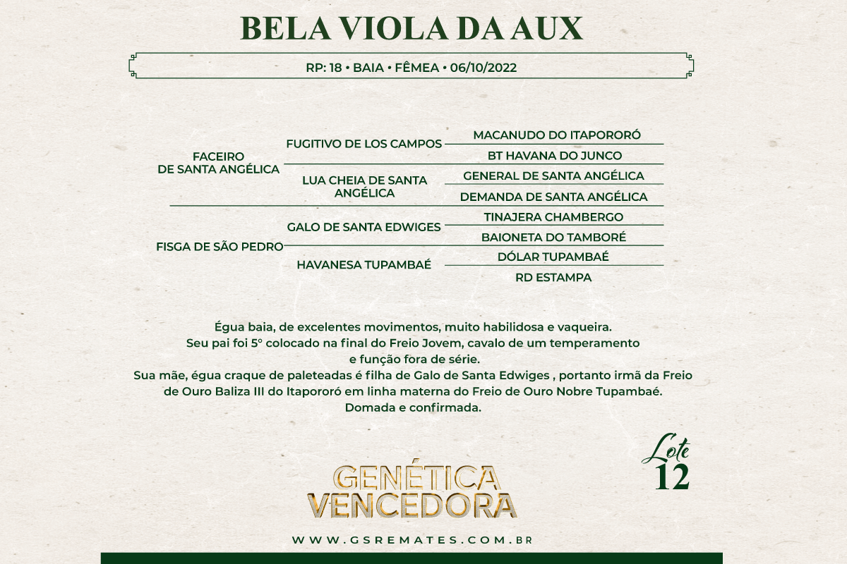 Geração BELA VIOLA DA AUX