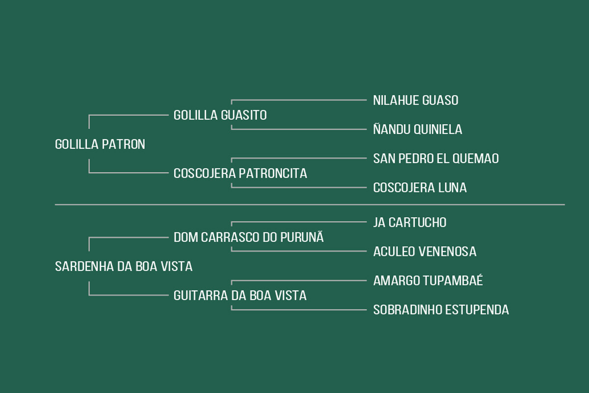 Geração HEROÍNA II DA BOA VISTA