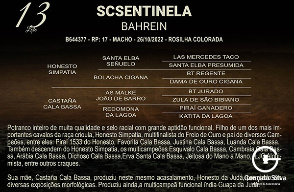 Geração SC SENTINELA BAHREIN
