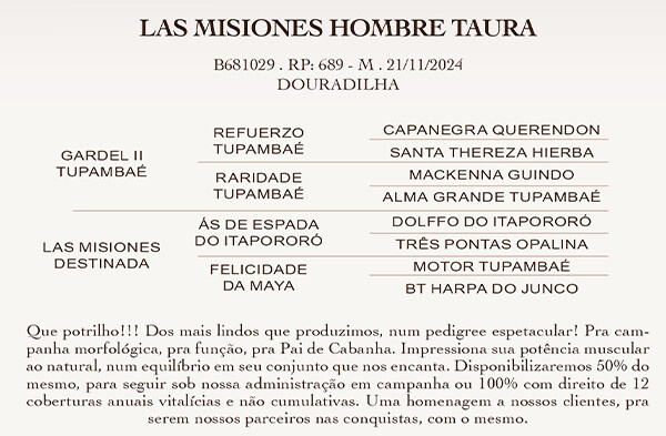 Geração LAS MISIONES HOMBRE TAURA