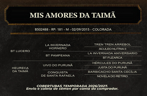 Geração MIS AMORES DA TAIMA
