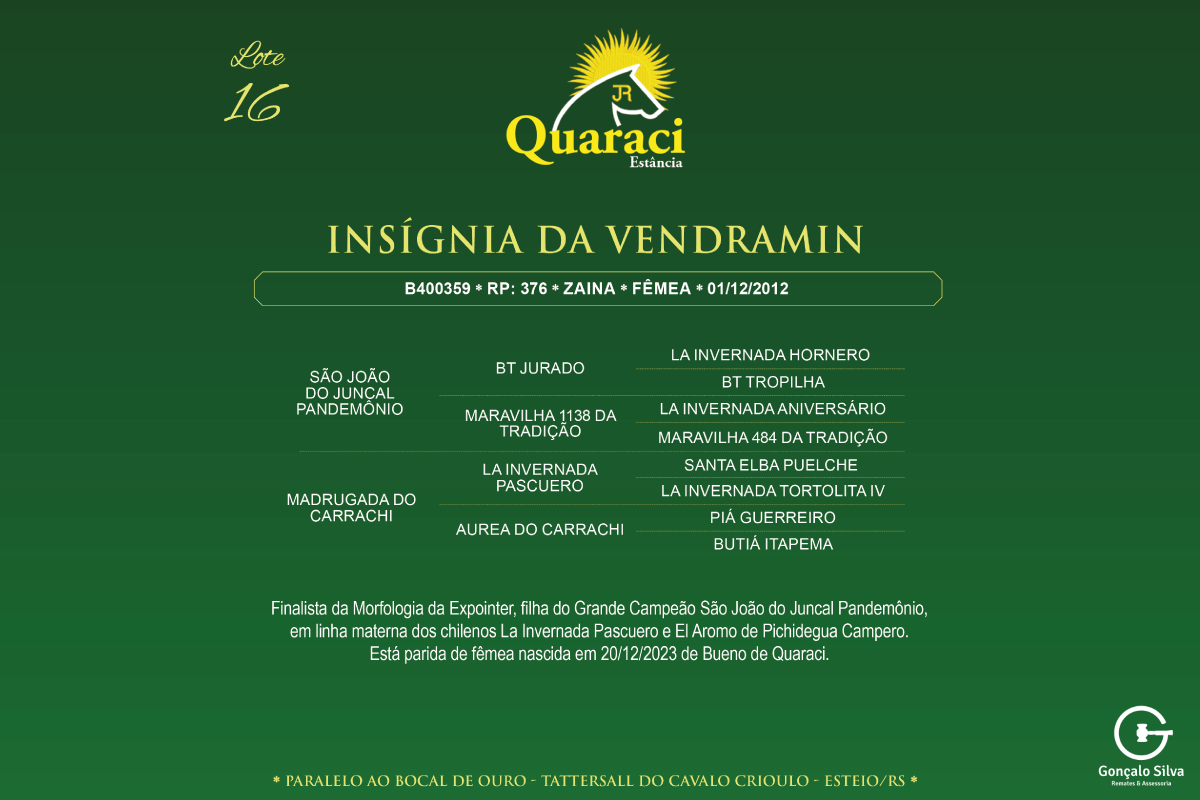 Geração INSÍGNIA DA VENDRAMIN