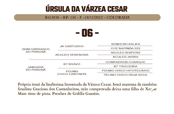 Geração URSULA DA VARZEA CEZAR 