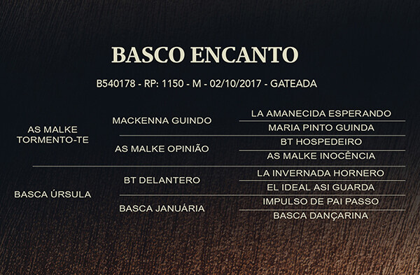 Geração BASCO ENCANTO ou BASCO ESTIGMA