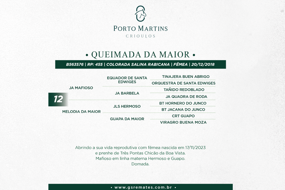 Geração QUEIMADA DA MAIOR