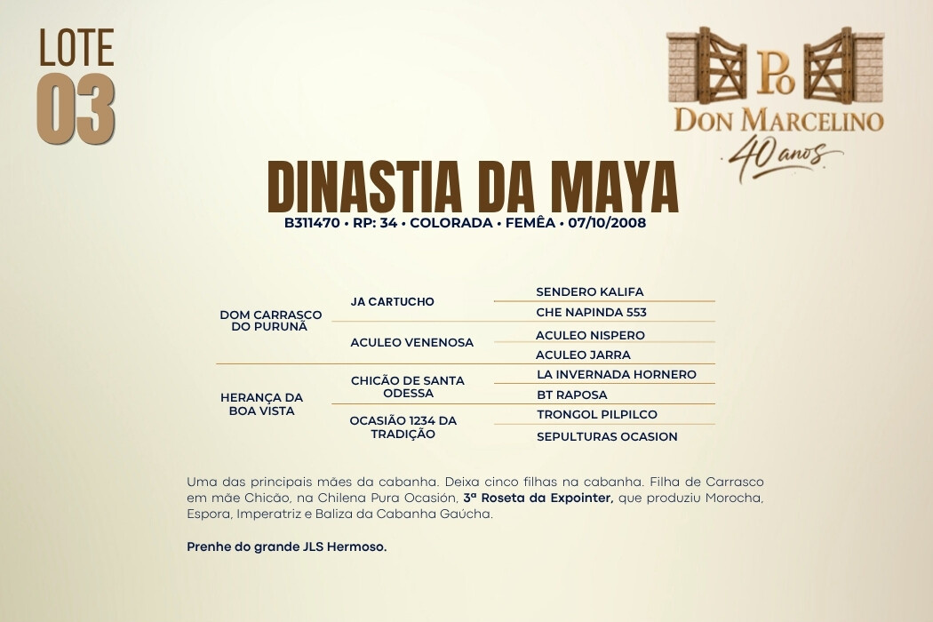 Geração DINASTIA DA MAYA 