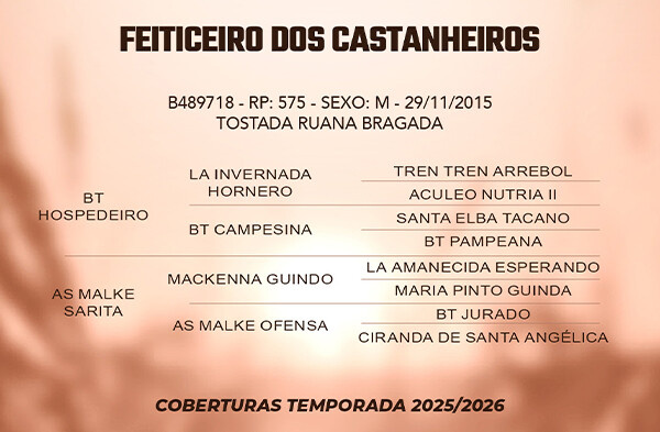 Geração FEITICEIRO DO CASTANHEIROS