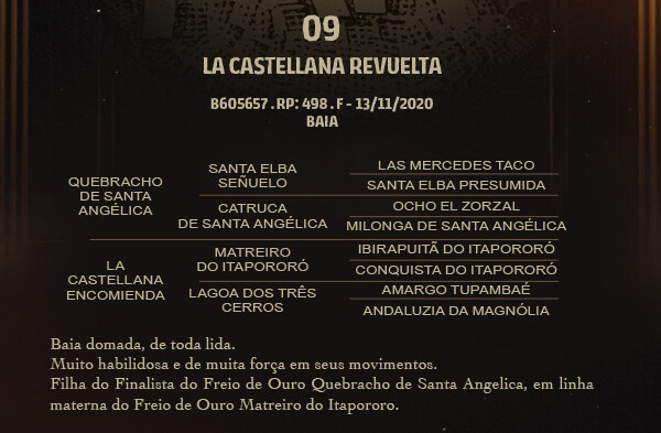 Geração LA CASTELLANA REVUELTA 