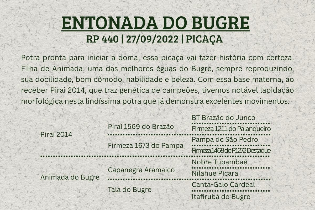 Geração ENTONADA DO BUGRE