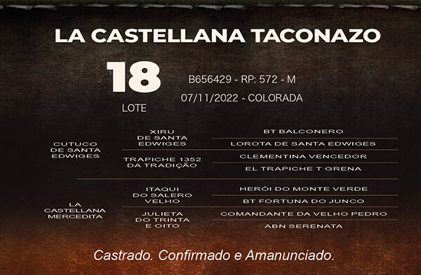 Geração LA CASTELLANA TACONAZO