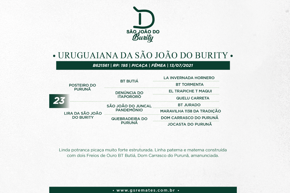 Geração URUGUAIANA DA SÃO JOÃO DO BURITY