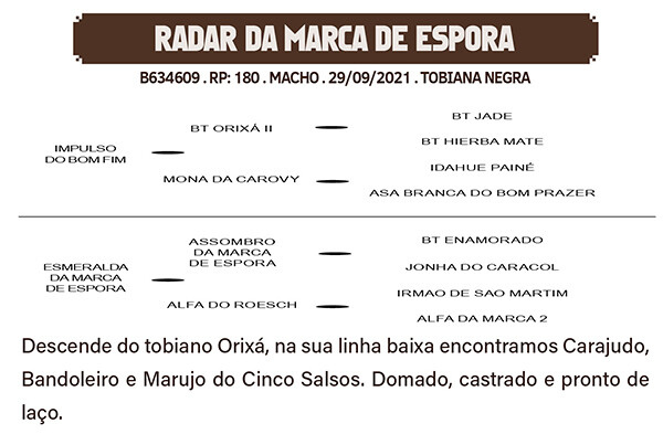 Geração RADAR DA MARCA DE ESPORA