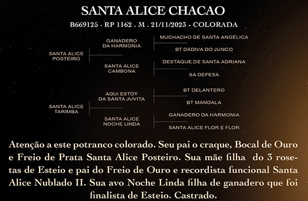 Geração SANTA ALICE CHACAO