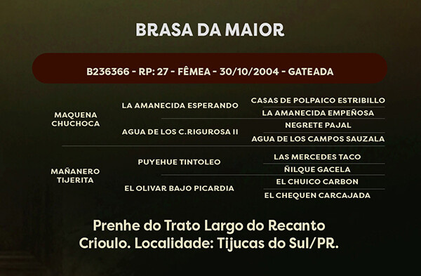 Geração BRASA DA MAIOR