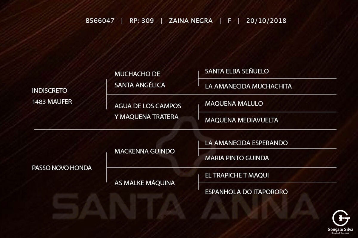 Geração LLANURA TAPE