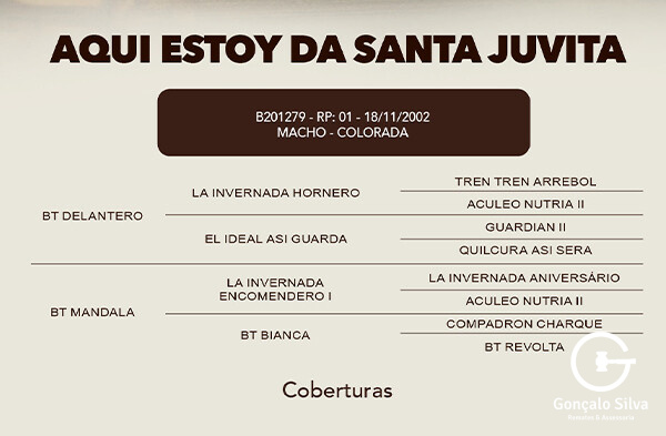 Geração COBERTURA AQUI ESTOY DE SANTA JOVITA 