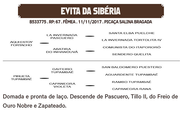 Geração EVITA DA SIBERIA