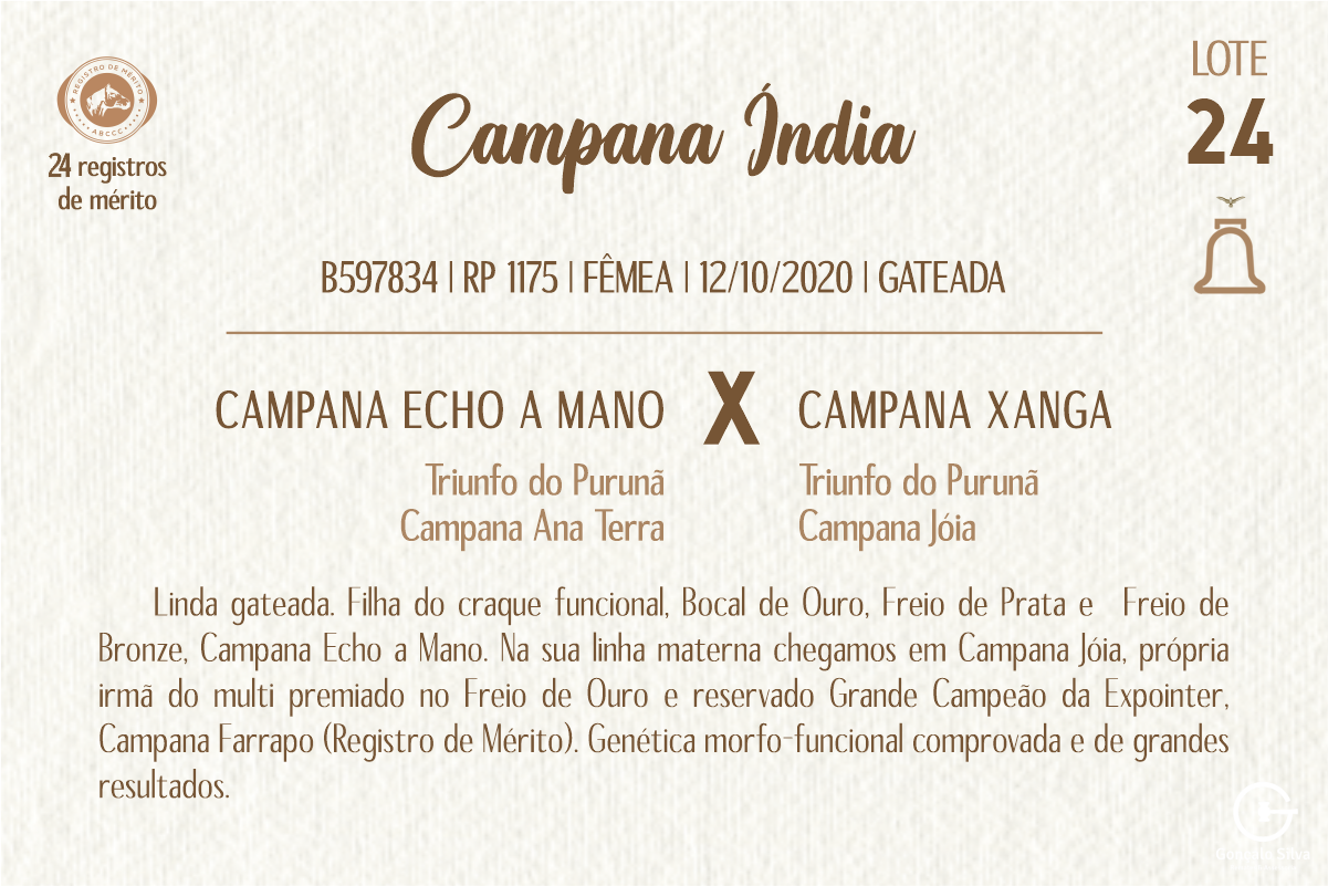 Geração CAMPANA INDIA