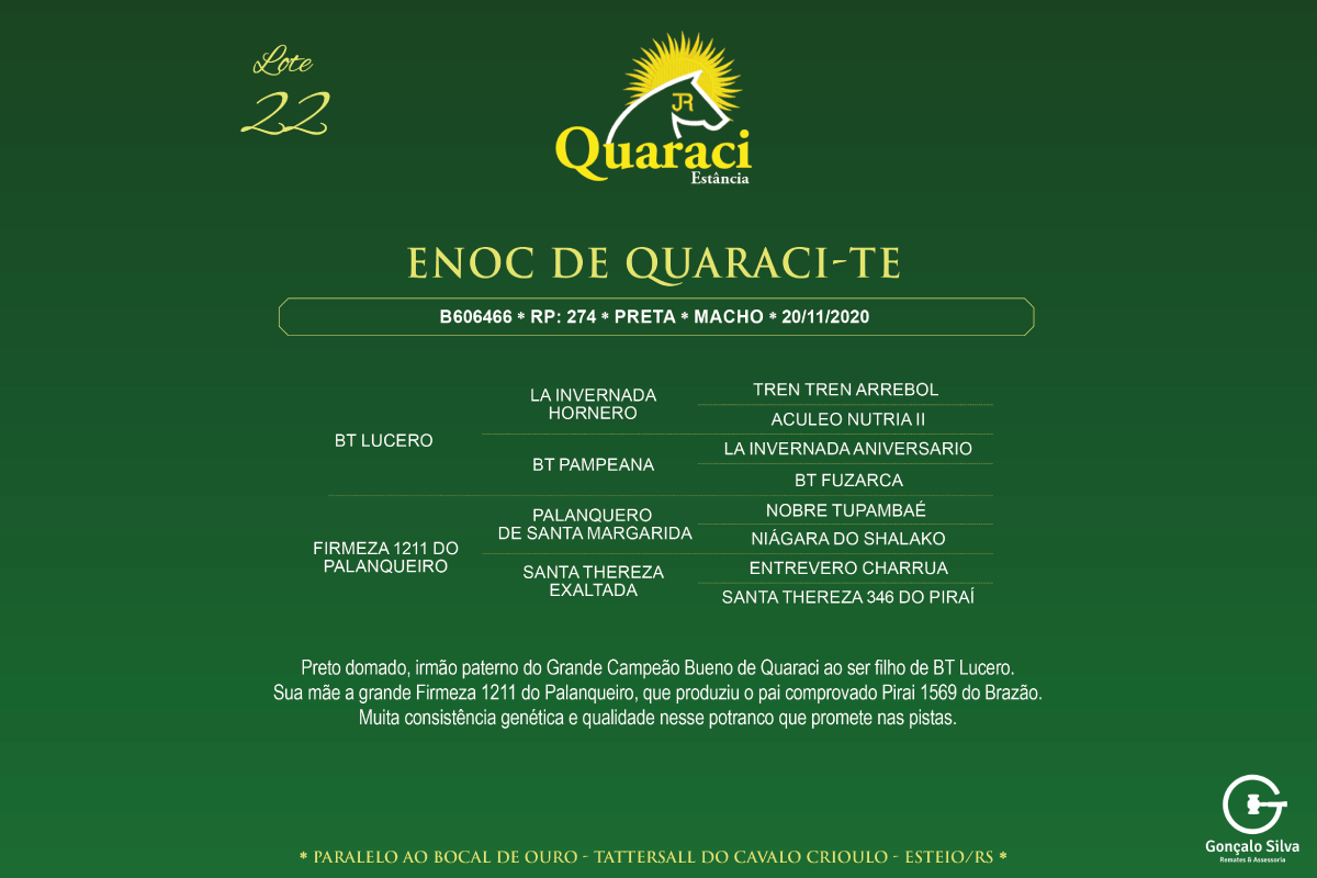 Geração ENOC DE QUARACI - TE