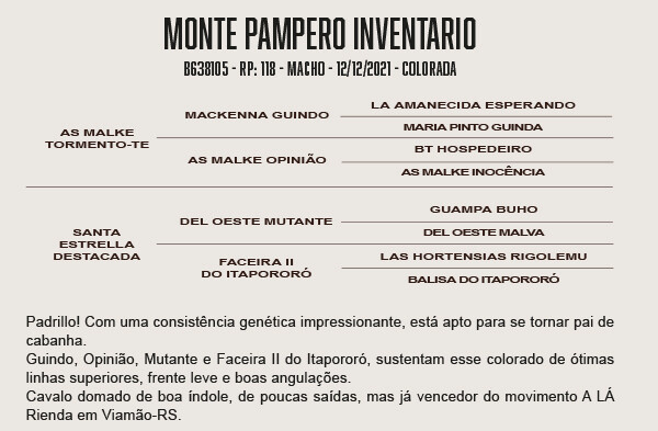 Geração MONTE PAMPERO INVENTÁRIO